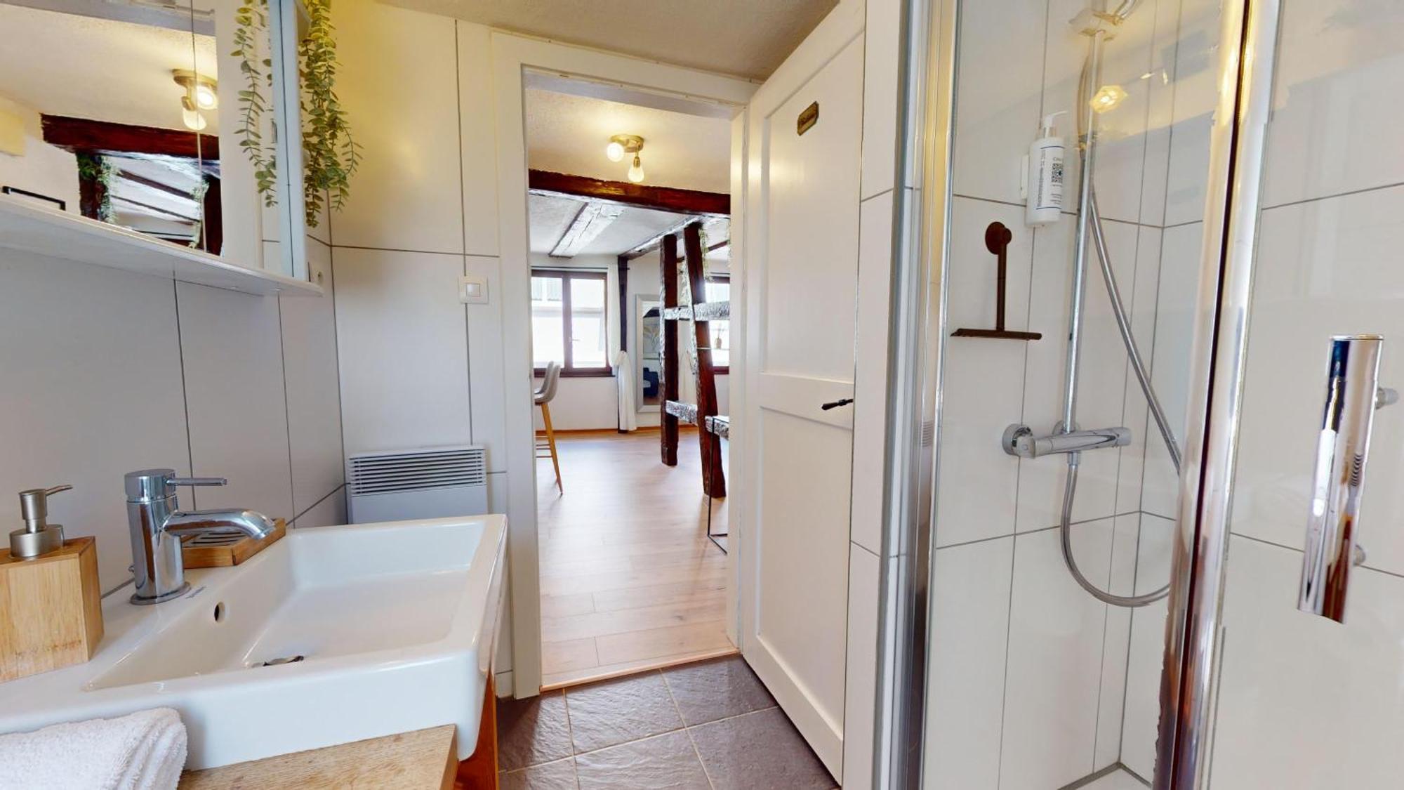 קולמר Au Petit Vauban 2 Chambres & Parking מראה חיצוני תמונה