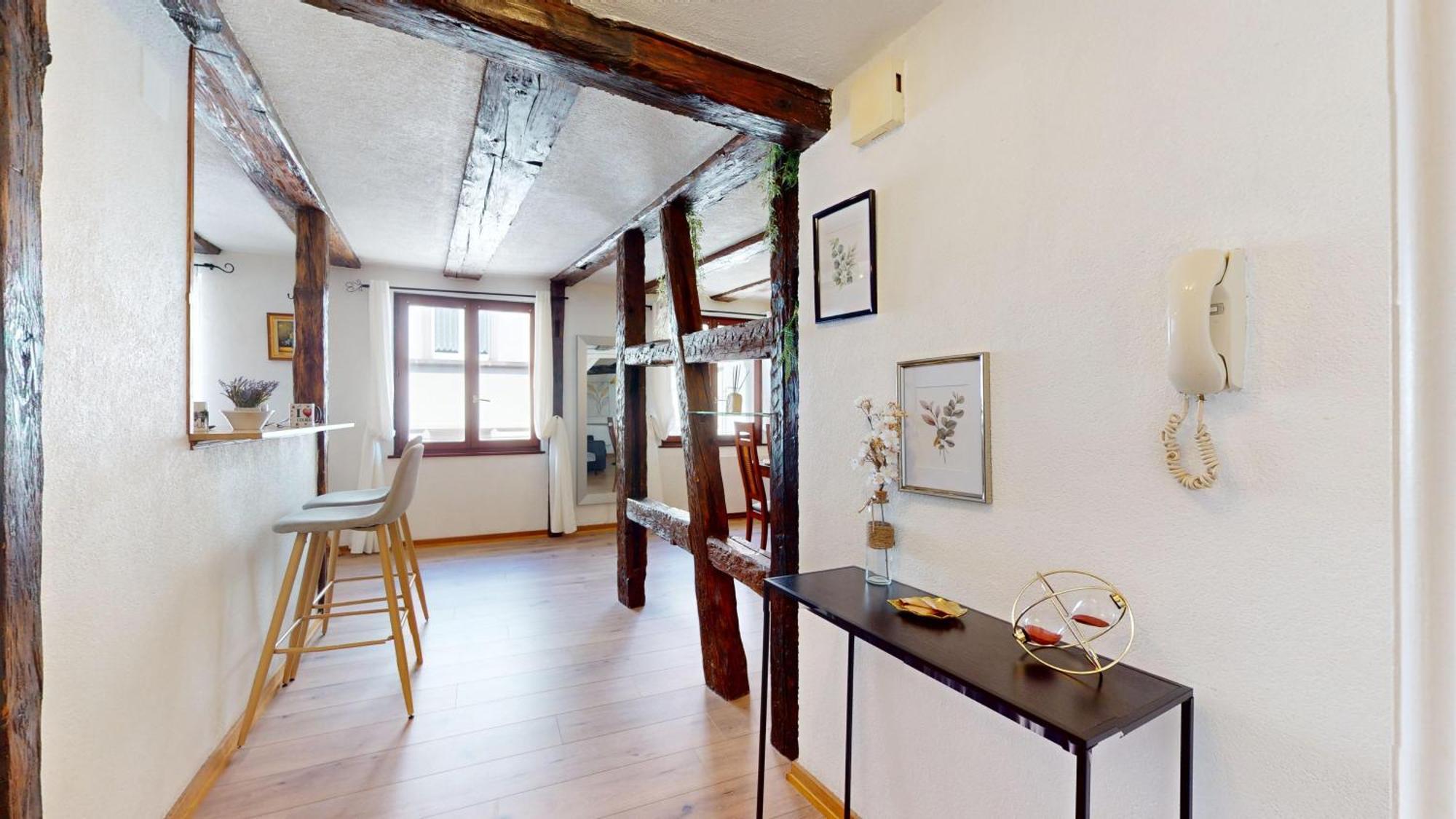 קולמר Au Petit Vauban 2 Chambres & Parking מראה חיצוני תמונה