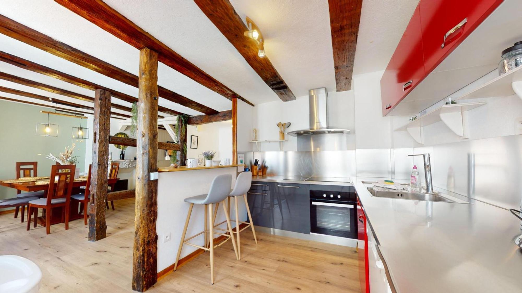 קולמר Au Petit Vauban 2 Chambres & Parking מראה חיצוני תמונה